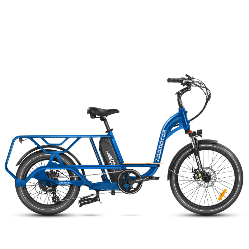 Graoopro Cargo eBike