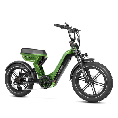 Motan M-650X All-Terrain Electric Bike